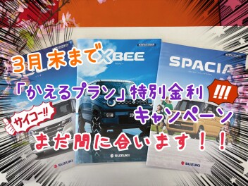 「かえるプラン」特別金利キャンペーン、まだ間に合います！！